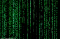 Online sicher einloggen: So schützen Nutzer ihre Daten