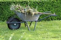 Die Gartensaison ist da: Das sollten Kleingärtner jetzt wissen
