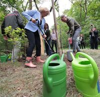 Pionierprojekt für Brandenburgs Wälder: Startschuss für den „Diedersdorfer Dauerwald“