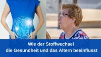 Wie der Stoffwechsel die Gesundheit und das Altern beeinflusst