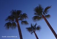 Sommer 2026: Neue Regeln für Urlauber