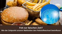 Fett zur falschen Zeit? Wie der Zeitpunkt unserer Mahlzeiten den&hellip;