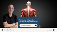 Vom Muskel zur Maschine: Warum der Körper die eigentliche Bauanleitung&hellip;