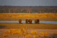 Die Wildnis ruft! – Namibias Top 5 der Nationalparks