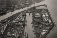 100 Jahre Elbwald!
