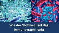 Wie der Stoffwechsel das Immunsystem lenkt