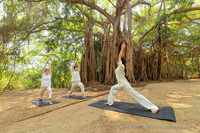 „Bring Your Own Yoga“: SwaSwara öffnet seine Retreat-Bereiche für internationale Yogalehrer